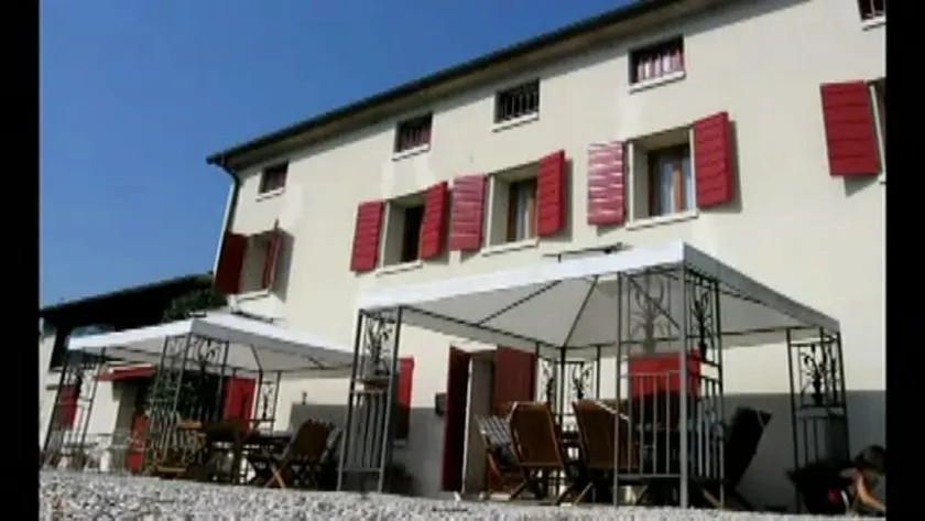 B&B Pleris - Image 1