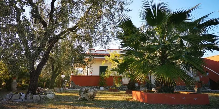 Uliveto Del Gargano - Image 1
