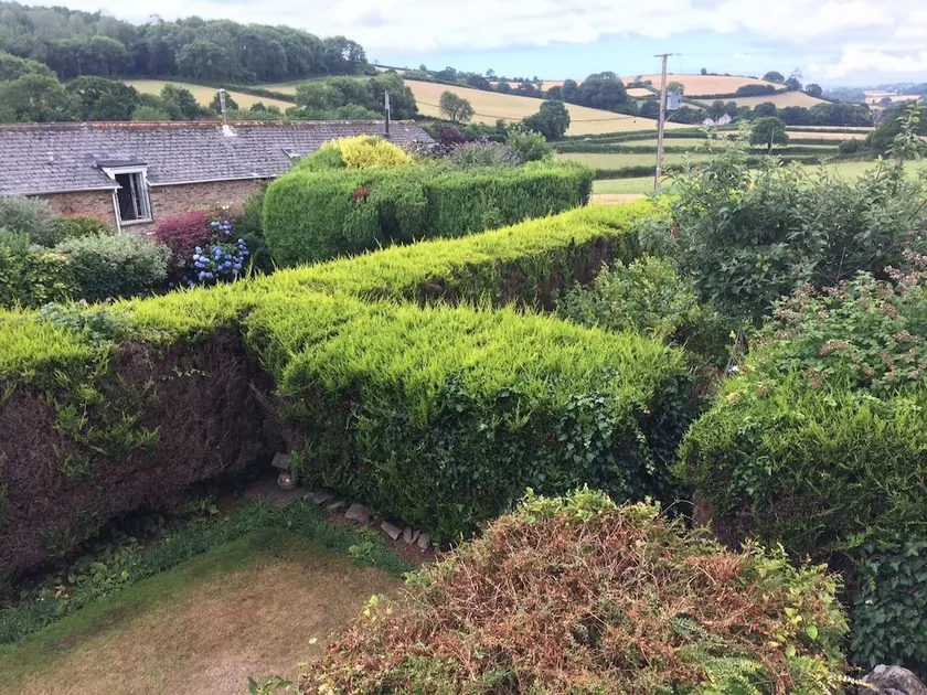The Grange Bed And Breakfast - Image 1