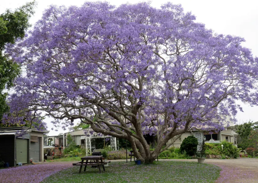 Ecotel Narooma - Image 1