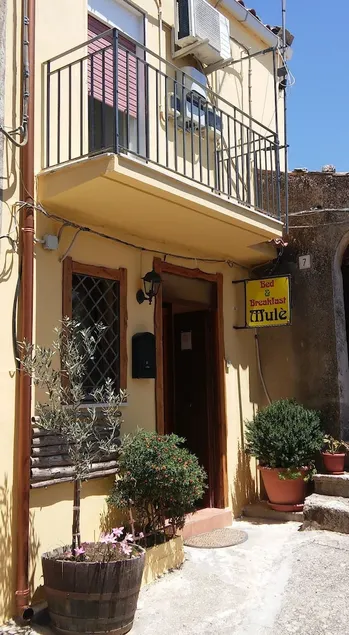 B&B Mule - Image 1