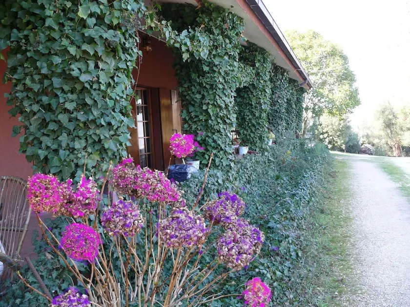 Le Acacie Felici B&B - Image 1