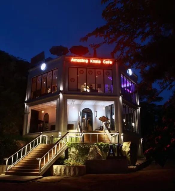Amazing Koala Hostel Dalian - Image 1