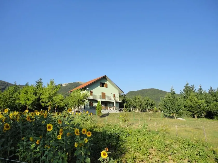 Green House - Image 1