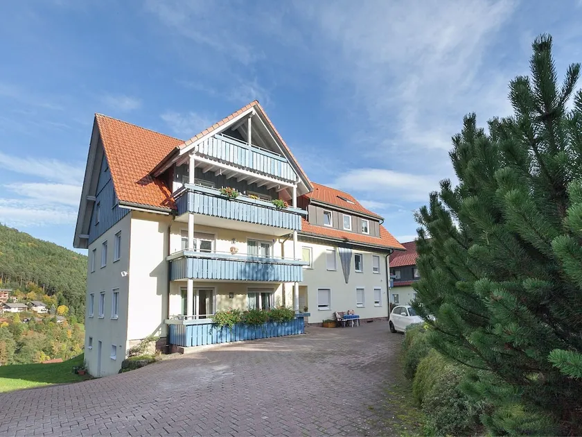 Quietly situated, bright apartment in Baiersbronn with private balcony - Image 1
