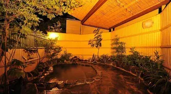 Tsuki No Koigokoro - Image 1