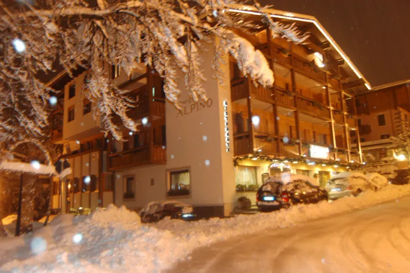 Alpino - Image 1