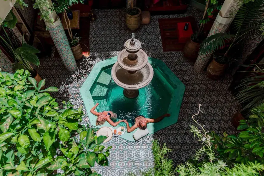 Abelia Riad - Image 1