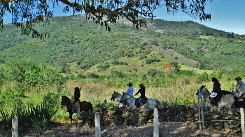Fazenda Da Roseta - Image 1