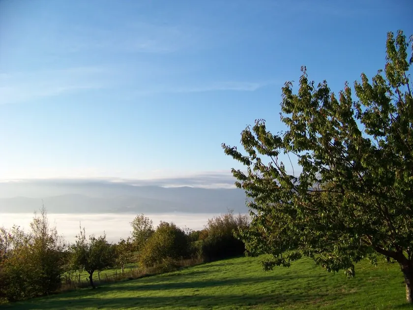 Croix Blanche - Image 1