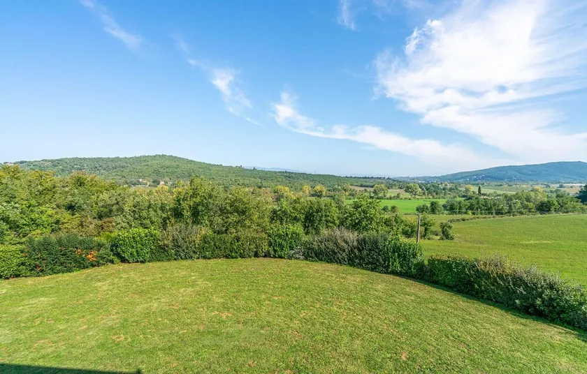 Selvarella - Image 1