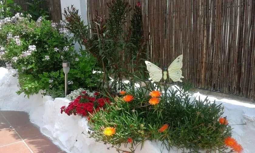 Primavera Bed and Breakfast - Image 1