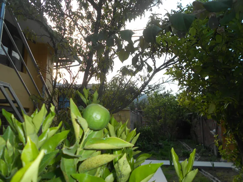 Garden Lodge - Image 1