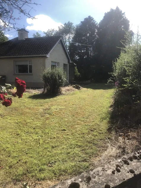 The Bungalow - Image 1