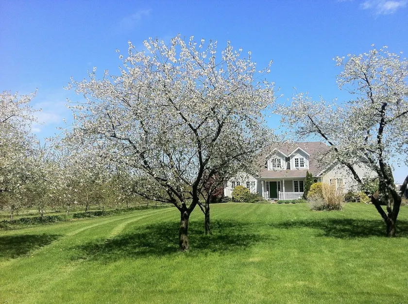 Orchard Croft Boutique Country Retreat - Image 1