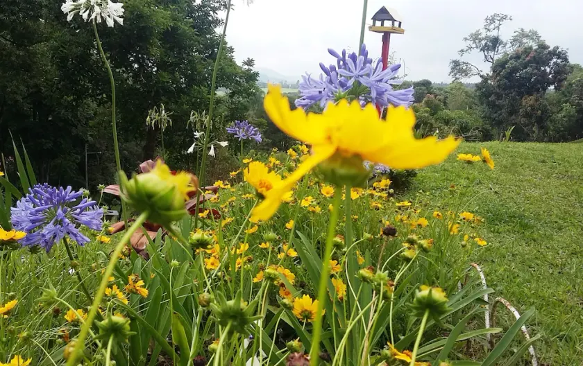 Chacara do Alemao Recanto Jardim Silvestre - Image 1