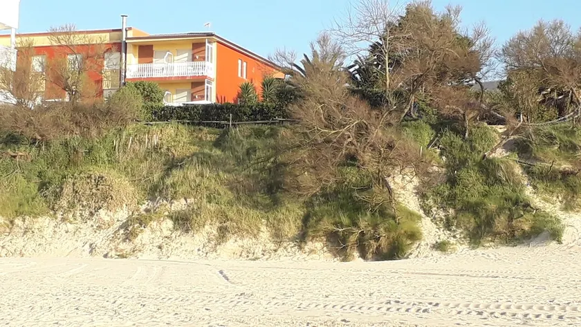 Hostal Pineda - Image 1