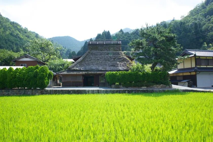 Miyama Futon & Breakfast Thatched Cottages - Image 1