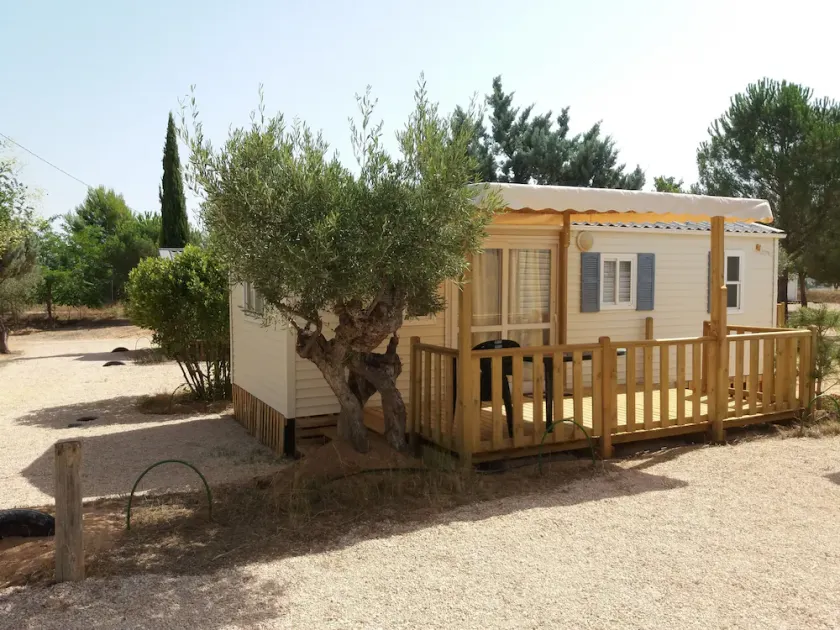 Camping Bola - Image 1