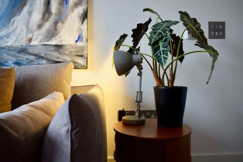 Contemporary 1 Bedroom Flat With Stunning London View - Image 1