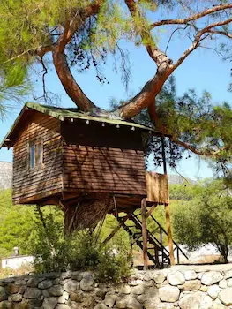 Olympos Woods - Image 1