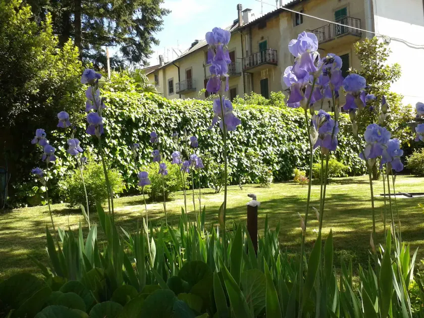 Italia - Image 1