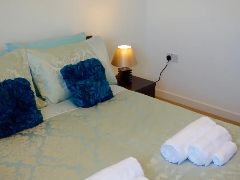 The Barony Suite Apartment - Image 1