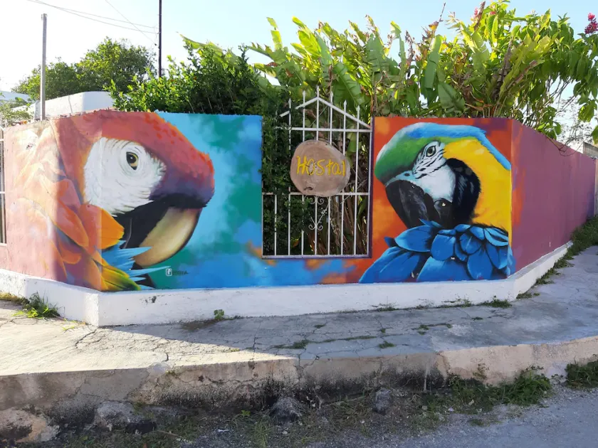 Hostal Guacamayas - Image 1
