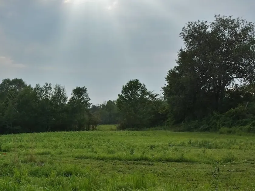 Tentrr Sanctuary On Healy Kill Creek - Image 1
