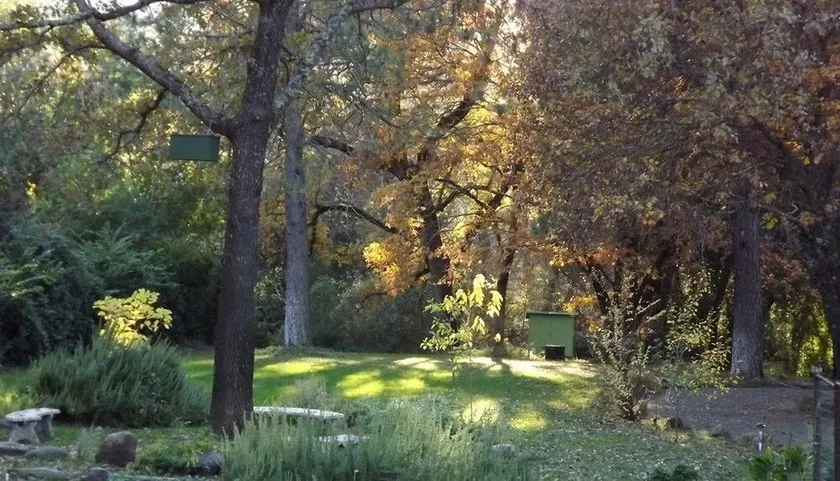 Backyard Garden Oasis - Image 1