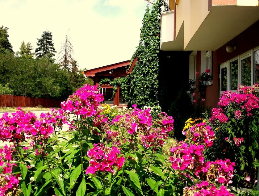 Guest House Zodiac - Image 1