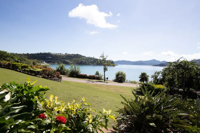 Frangipani 5 - Image 1