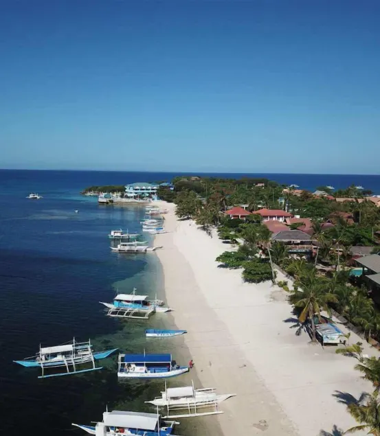 Malapascua Beach & Dive Resort - Image 1