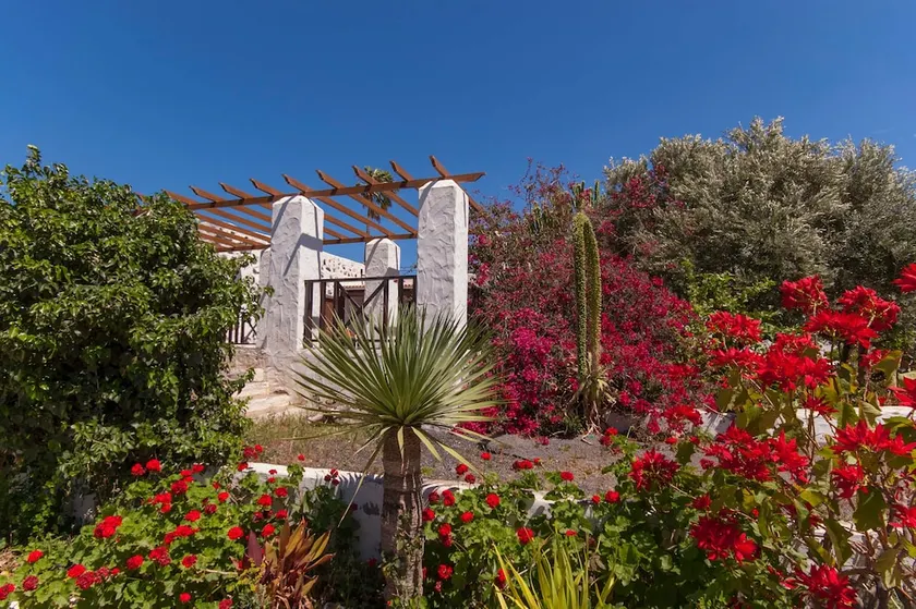 Casa Rural en Ingenio - Image 1