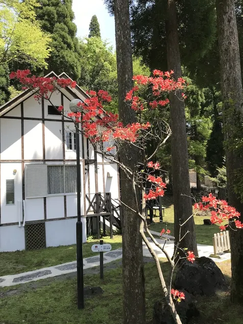 Ijinkan - Image 1
