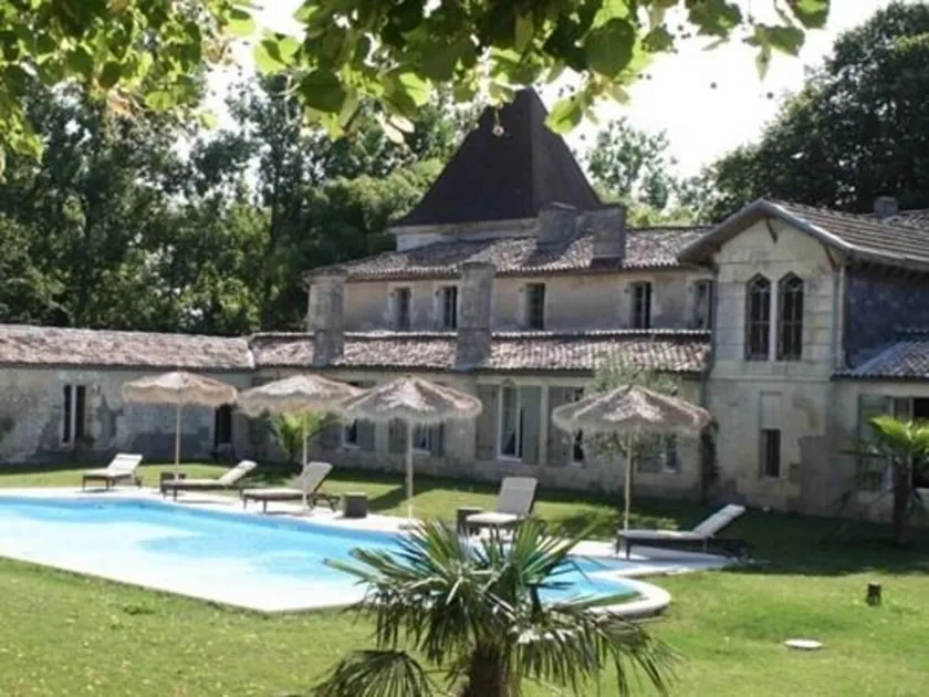 Chateau de Puyrigaud - Image 1