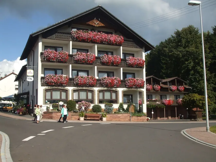 Gasthaus Pension Waldfrieden - Image 1