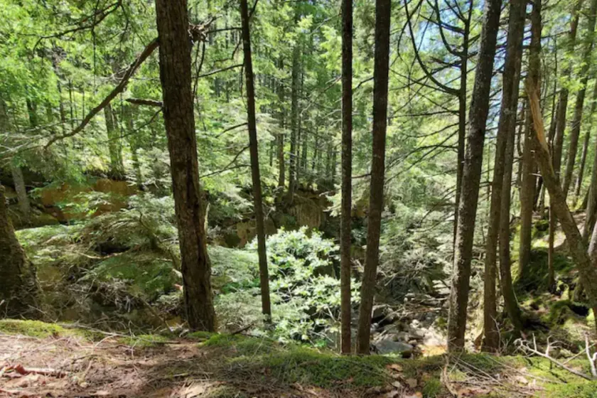 The Danbury - Image 1
