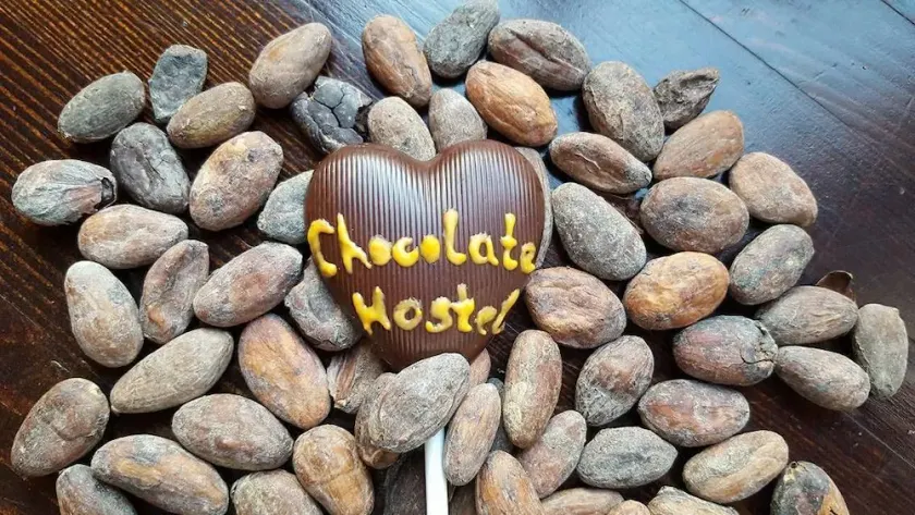 Chocolate Hostel - Image 1