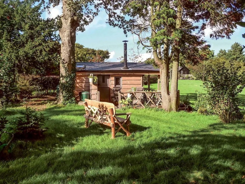 Cedarwood - Image 1