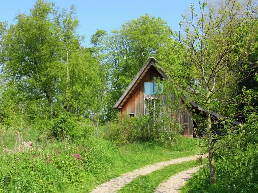 Fairytale Cottage Nestled Between Forest - Image 1