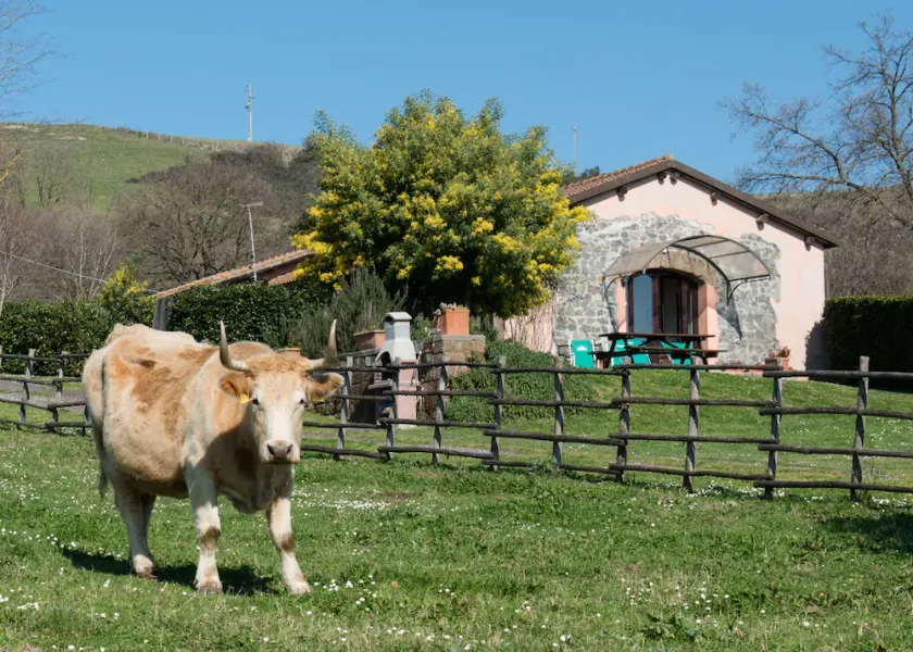 Agriturismo Il Castoro - Image 1