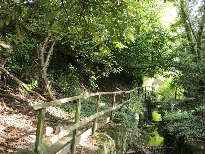 Brookside Leisure Park - Image 1