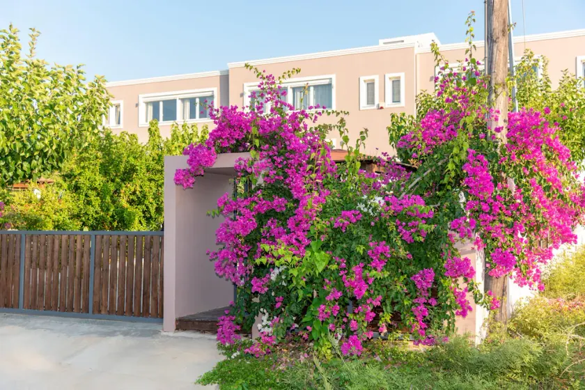 Evagelia Suites RED - Image 1