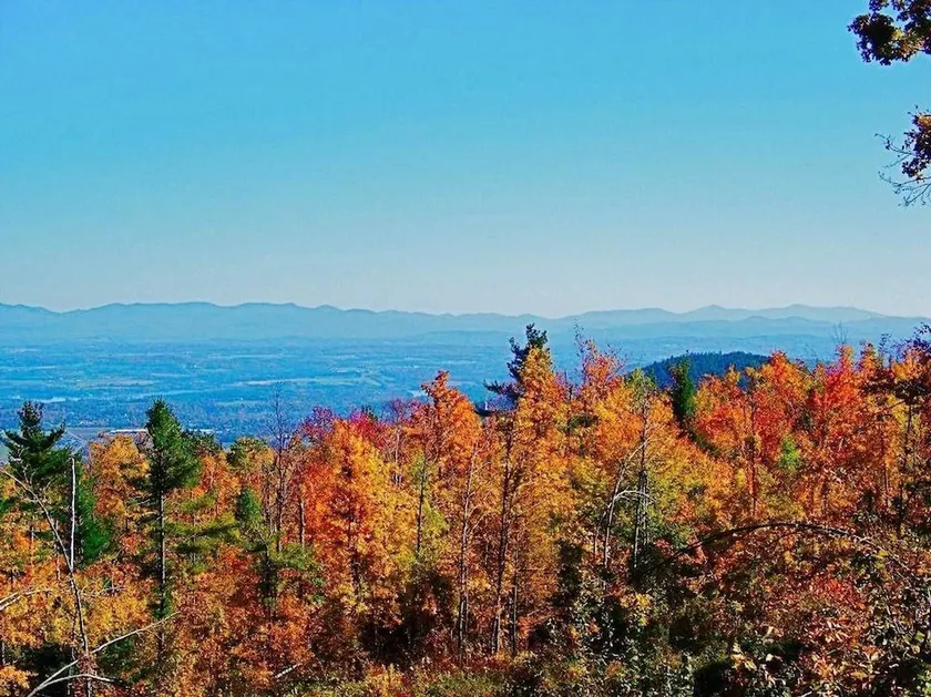 Tentrr - The Look Out at Chill Hill - Image 1
