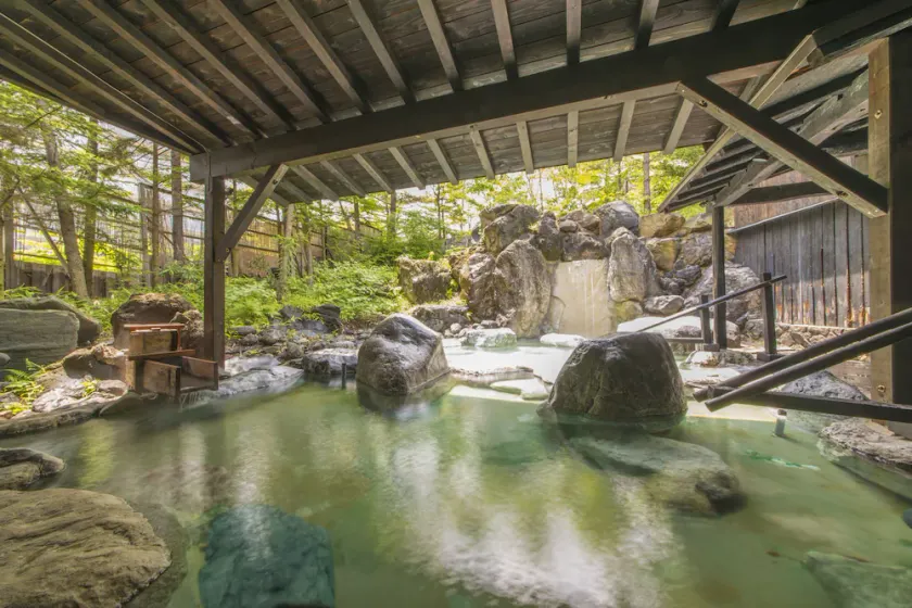 Kusatsu Now Resort Hotel - Image 1