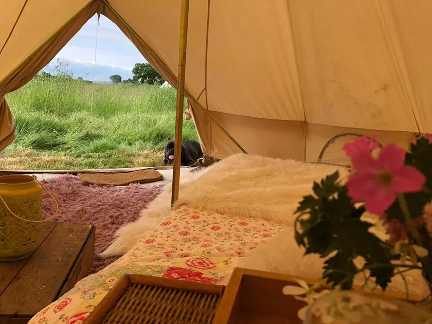 Bluebell Bell Tent in The Broads National Park - Image 1