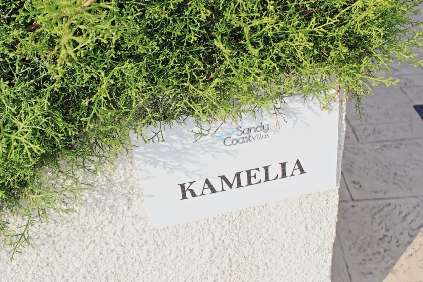 Villa Kamelia in Argaka - Image 1