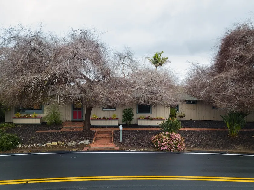 Eolus in Encinitas with 3 bedrooms and 2 bathrooms - Image 1