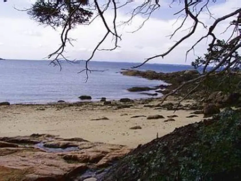 Wolfhound Cottage - Image 1